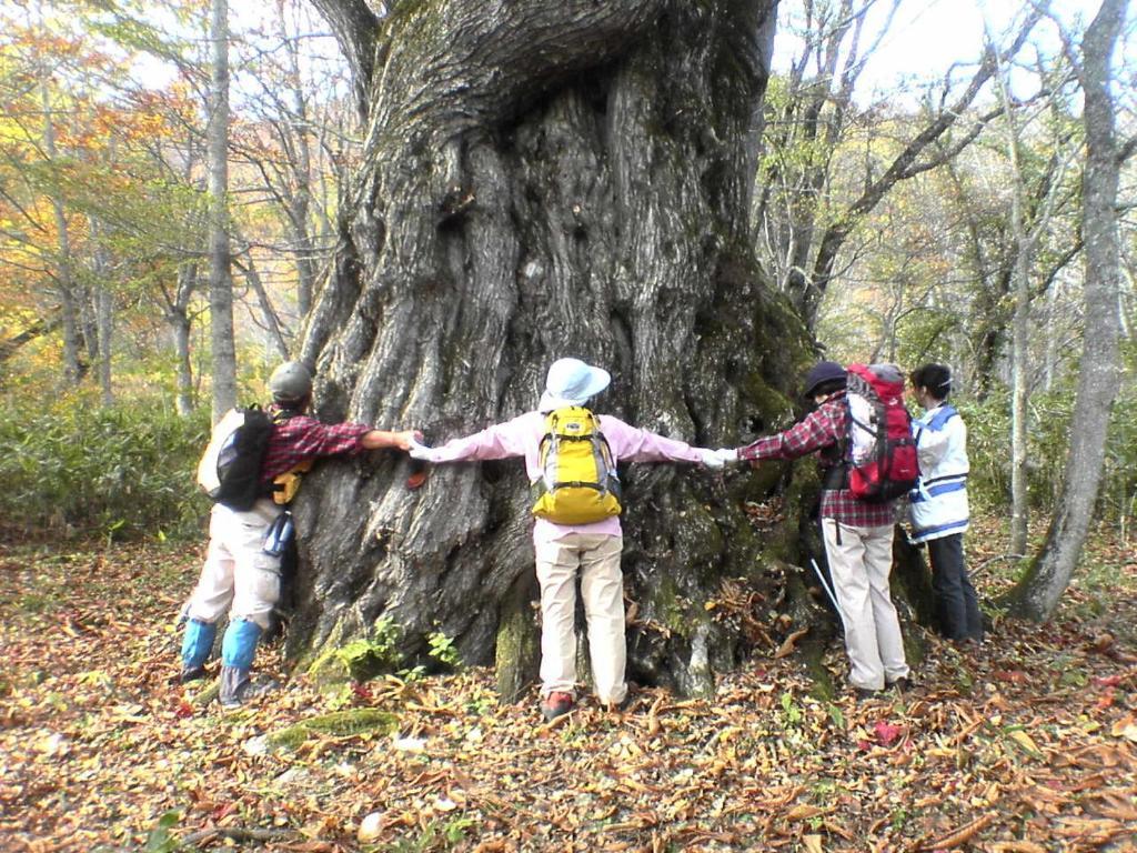 Pension Milky House Shinano (Nagano) Bagian luar foto